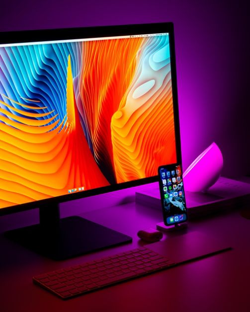 OLED / 디스플레이